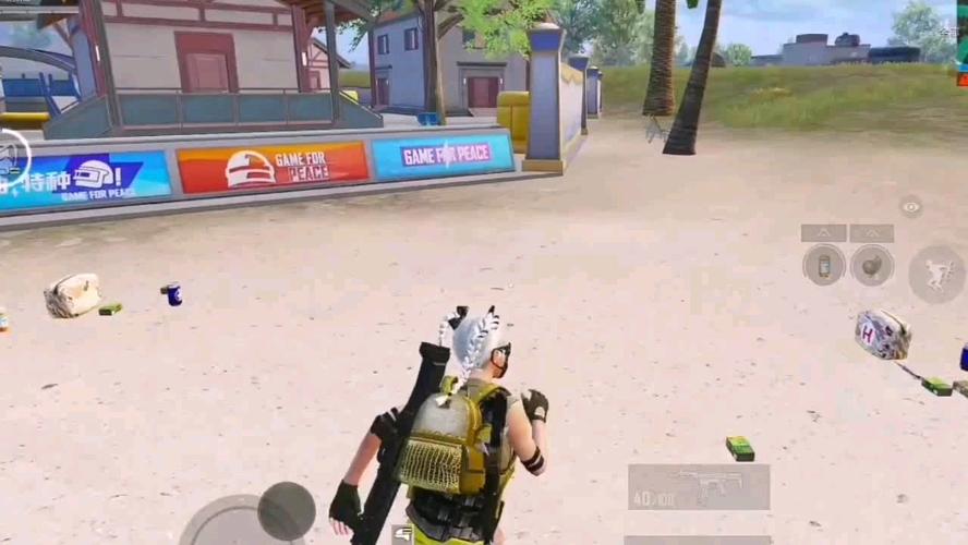 和平精英《番茄追踪》辅助